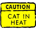 Caution Cat in Heat