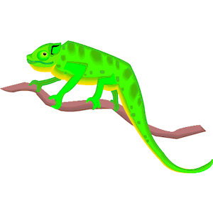 Chameleon 7