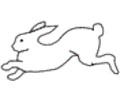 Rabbit 04