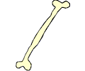 Bone 006