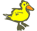 Duck 011