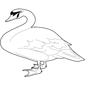 Goose 04