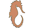Seahorse 3