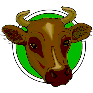 Cow Head 1