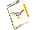 Sketchpad, with drawing of a bird