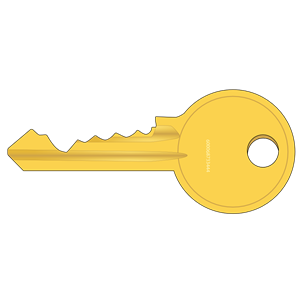 Cylinder lock key