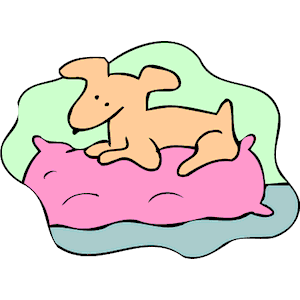 Dog on Pillow