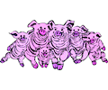 Pigs Smiling