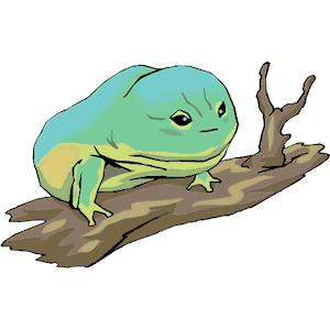 Frog 033