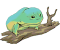 Frog 033