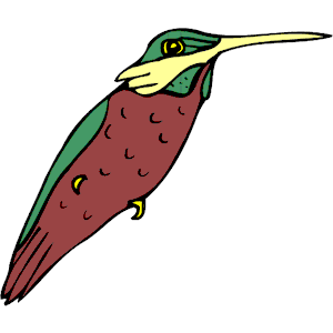 Hummingbird 07