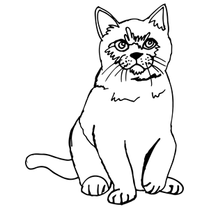 Cat Sketch Line Art