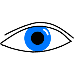 Eye 015