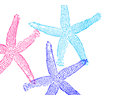 Triple Starfish Colors