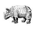 renaissance rhino
