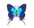 Butterfly - Tecla Coronata