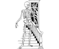 Skeleton Stairs