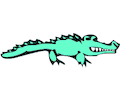 Alligator 08