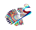 Stylized Peacock Colorful 3