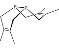 Diphosphorus Double Diels-Alder Adduct with 2,3-dimethylbutadiene