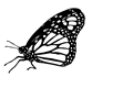 Butterfly Landing