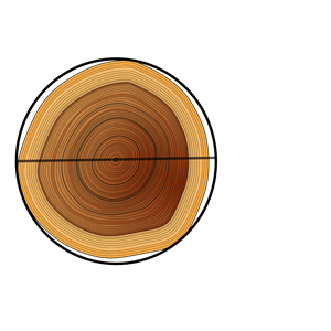 Circumference Of A Tree