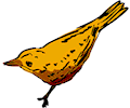 Bird 09