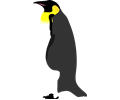 Pinguino2