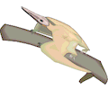 Pterodactylus 2