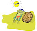 Tortoise Sunbathing