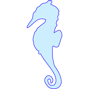 Seahorse 4