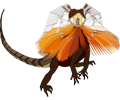 Frill-necked lizard (dragon)