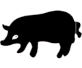Pig 008