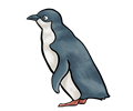 The LCA2010 Penguin, 'Blu'