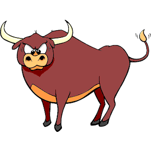 Bull Crosseyed-1