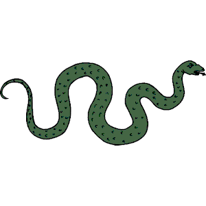 Snake 07