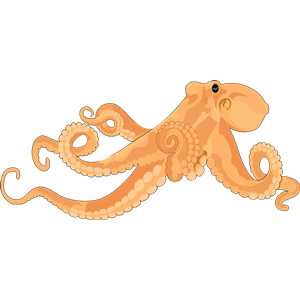 octopus 02