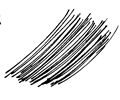 Thin Hair lines