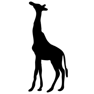Giraffe contour