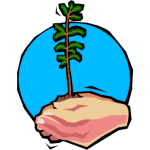Planting Tree 2