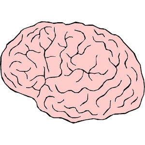 Brain 5