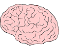 Brain 5
