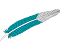 feather 02