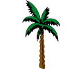 Palm tree 4