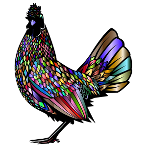Chromatic Rooster 4