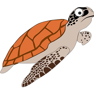 Cartoon Turtle 1