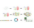Serial Analysis of Gene Expression