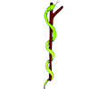 Snake Branch