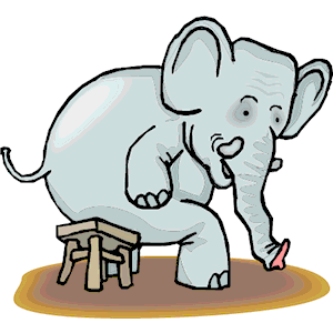 Elephant Sitting on Stool
