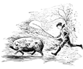 A Boy Running Behind a Pig with a Stick